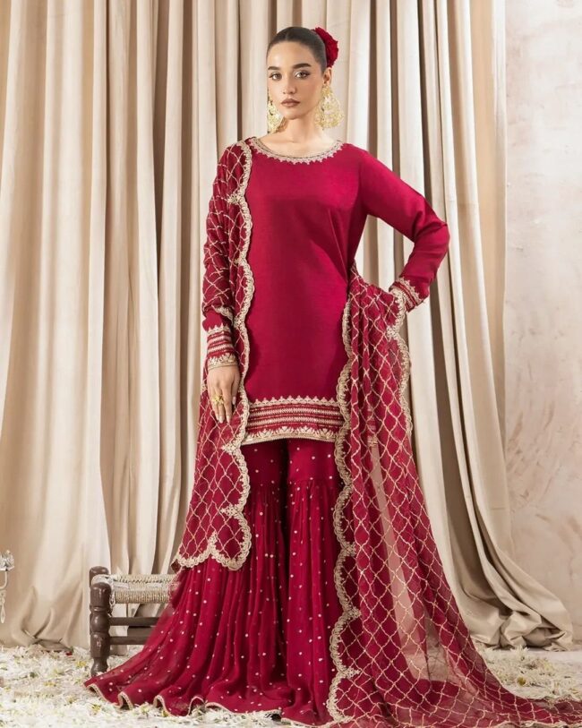 Sharara Set ✨ | 🧚‍♀ Thread & Sequin Work - Image 3