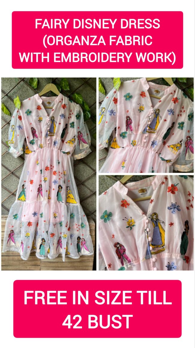 ✨ FAIRY DISNEY DRESS (WITH EMBROIDERY WORK) ✨ - Image 2
